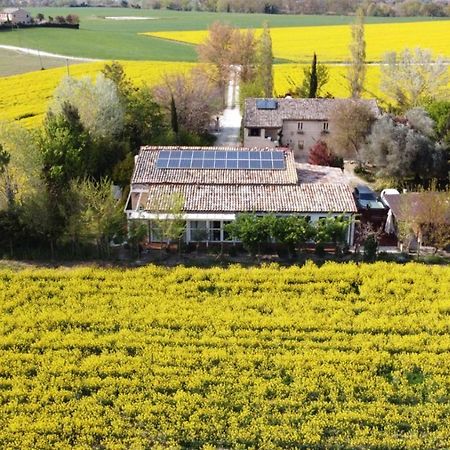La Casa Di Tara B&B Armonia E Natura Recanati Exteriör bild