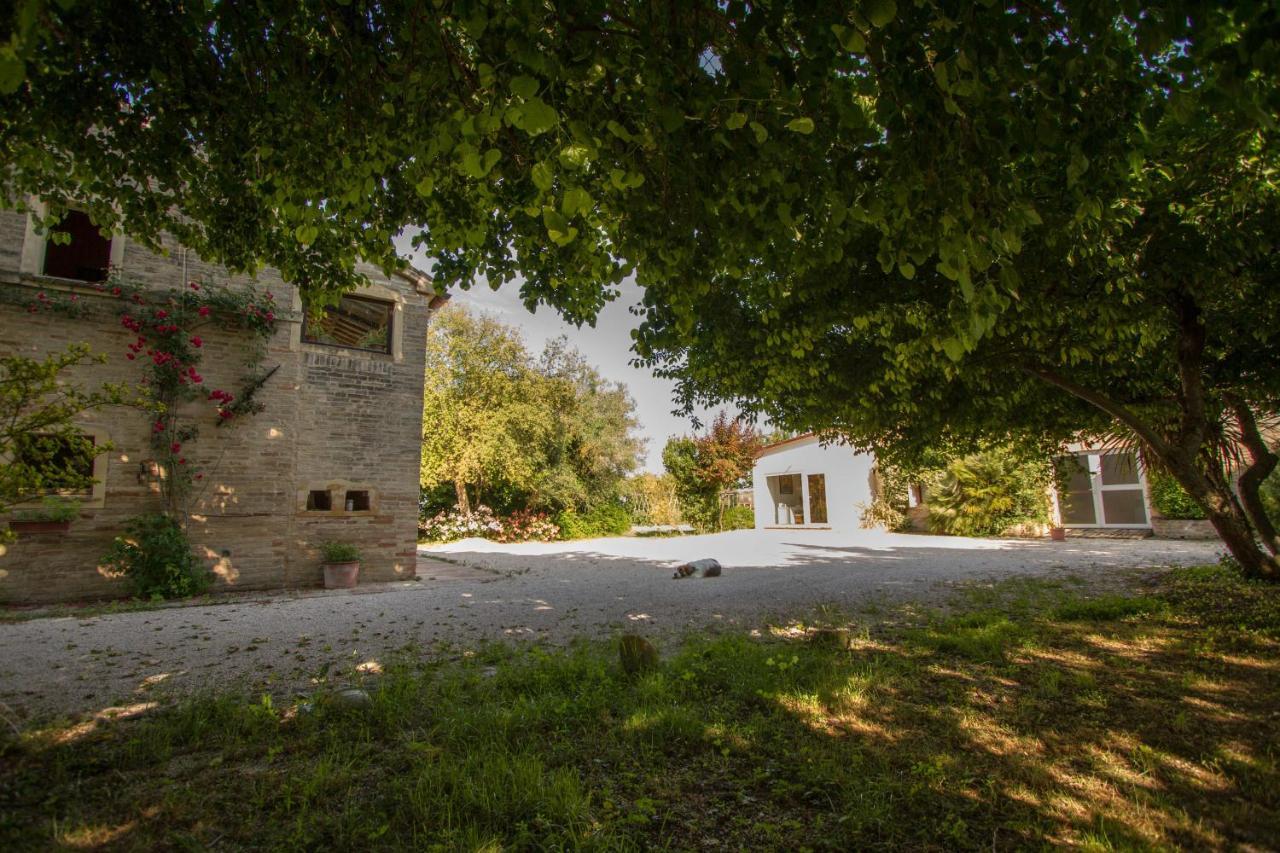 La Casa Di Tara B&B Armonia E Natura Recanati Exteriör bild