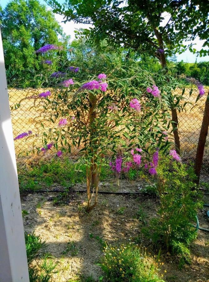 La Casa Di Tara B&B Armonia E Natura Recanati Exteriör bild