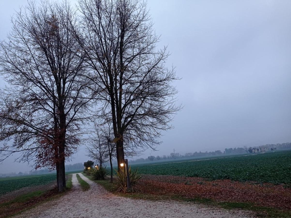 La Casa Di Tara B&B Armonia E Natura Recanati Exteriör bild