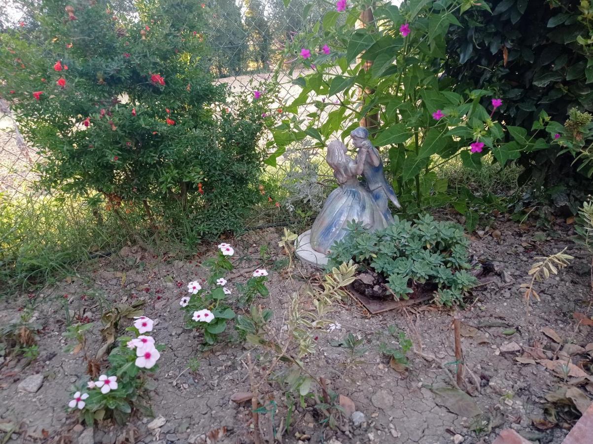 La Casa Di Tara B&B Armonia E Natura Recanati Exteriör bild