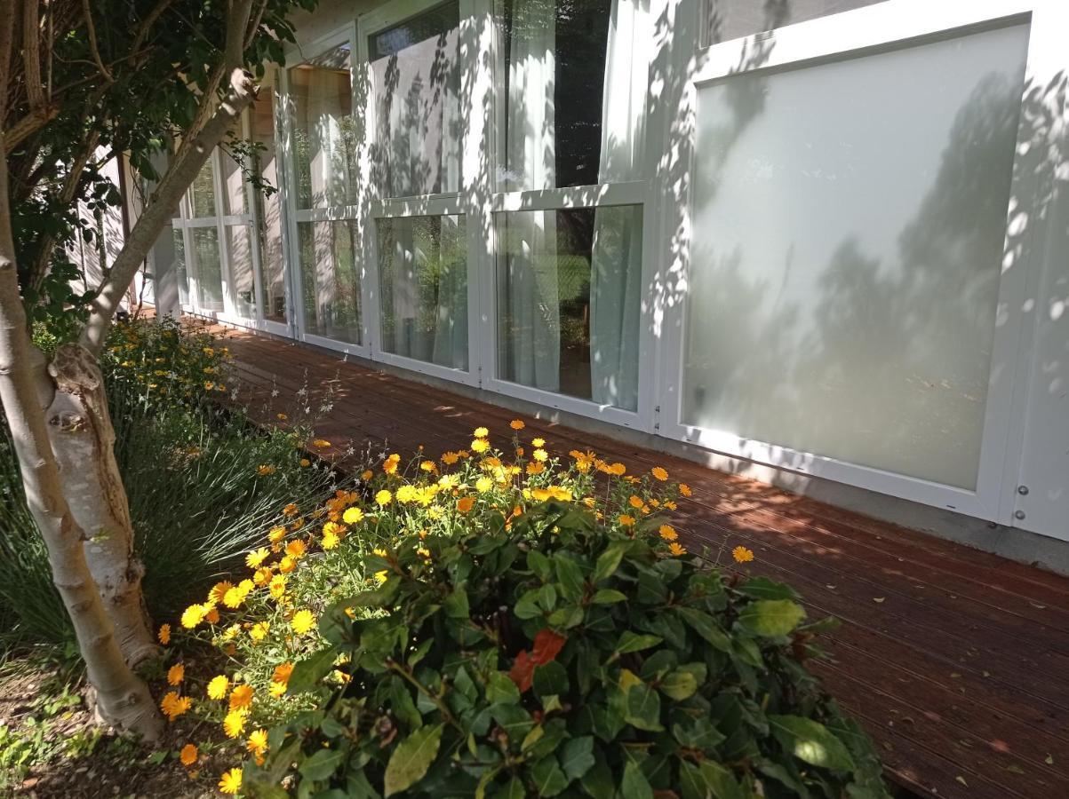 La Casa Di Tara B&B Armonia E Natura Recanati Exteriör bild