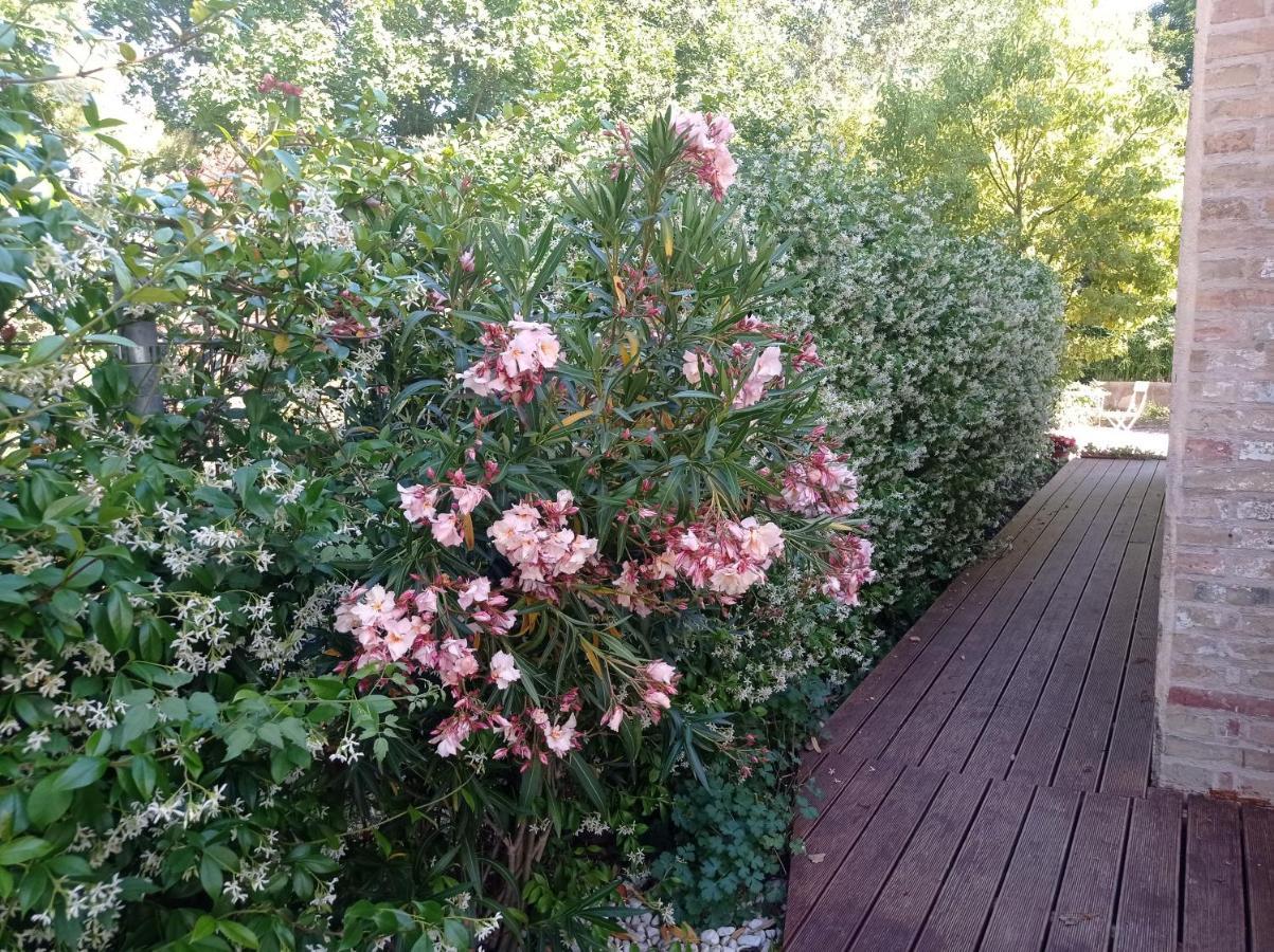 La Casa Di Tara B&B Armonia E Natura Recanati Exteriör bild