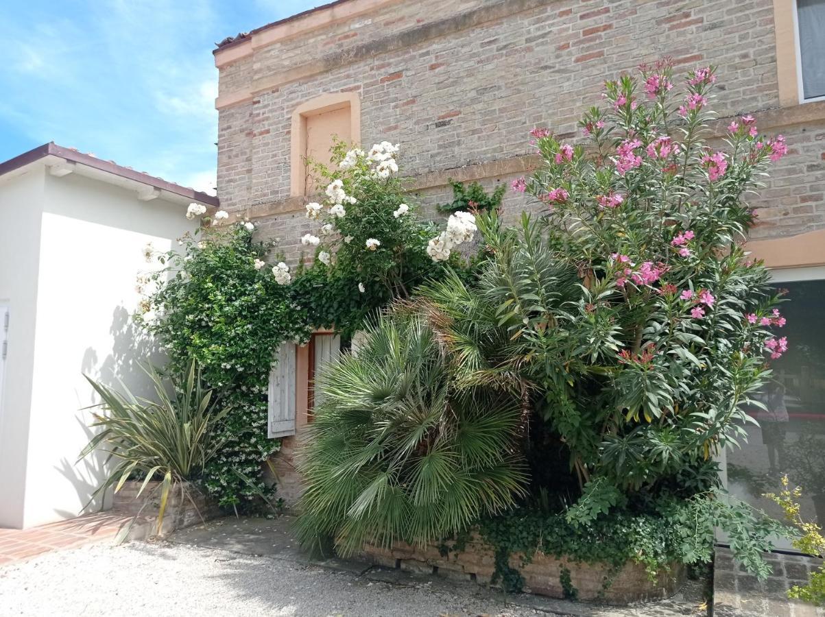 La Casa Di Tara B&B Armonia E Natura Recanati Exteriör bild
