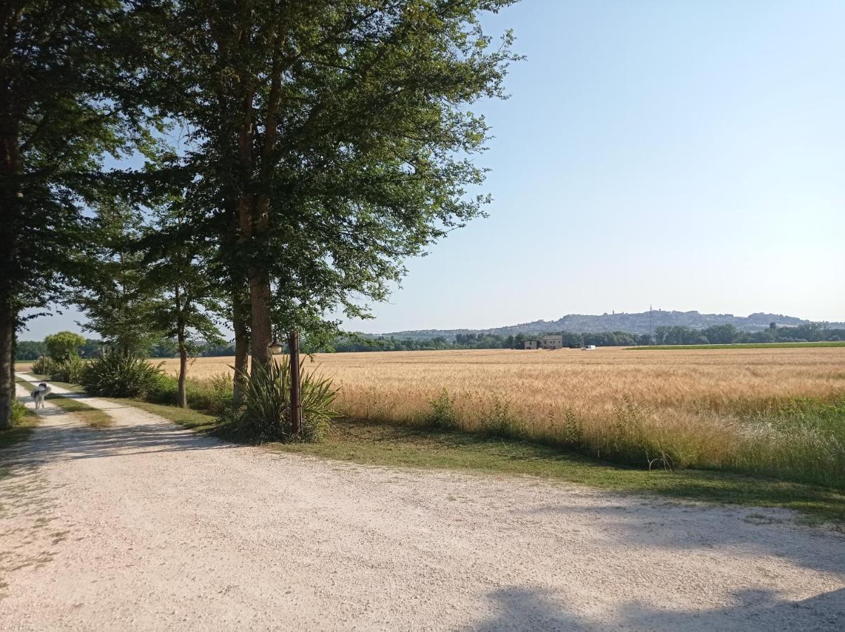 La Casa Di Tara B&B Armonia E Natura Recanati Exteriör bild