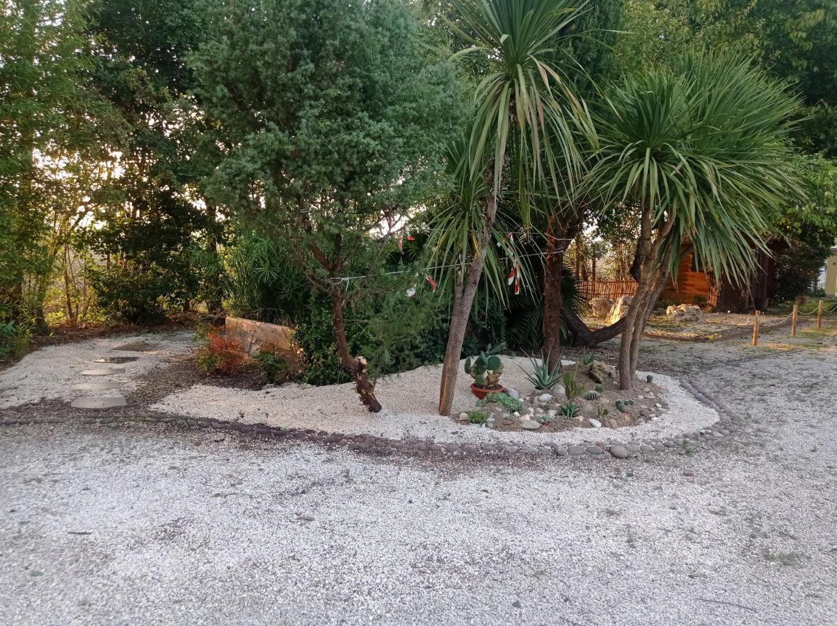 La Casa Di Tara B&B Armonia E Natura Recanati Exteriör bild