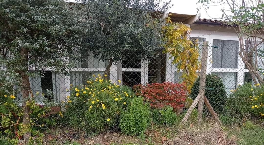 La Casa Di Tara B&B Armonia E Natura Recanati Exteriör bild