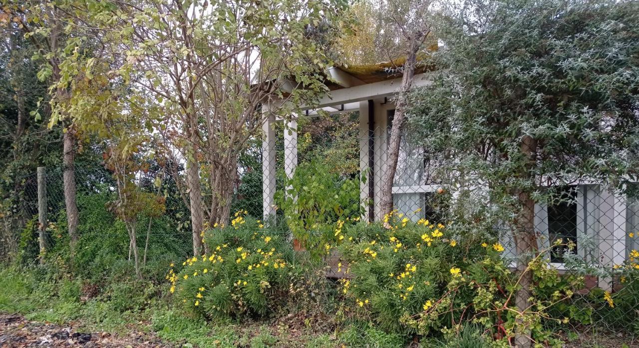 La Casa Di Tara B&B Armonia E Natura Recanati Exteriör bild
