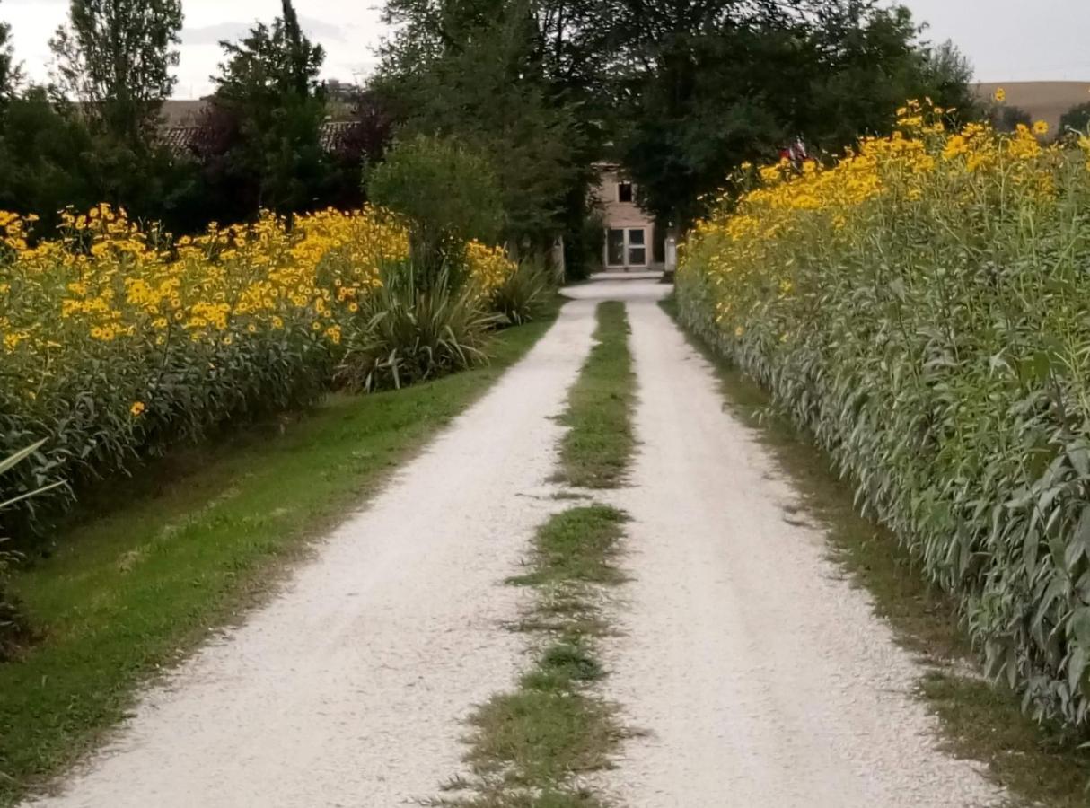 La Casa Di Tara B&B Armonia E Natura Recanati Exteriör bild