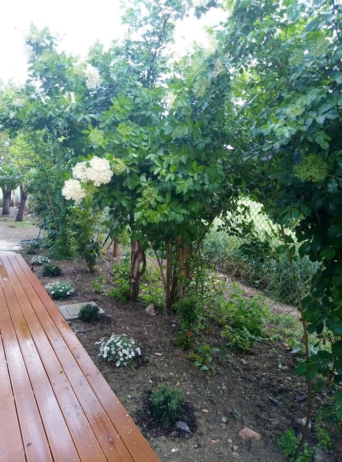 La Casa Di Tara B&B Armonia E Natura Recanati Exteriör bild