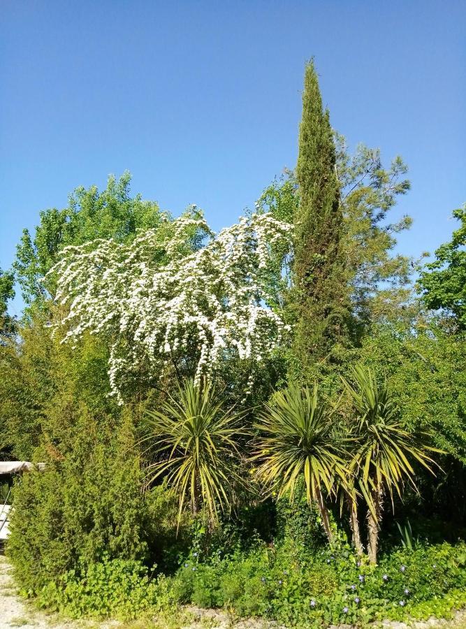 La Casa Di Tara B&B Armonia E Natura Recanati Exteriör bild