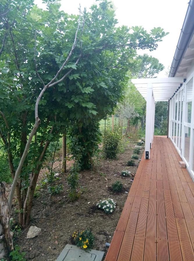 La Casa Di Tara B&B Armonia E Natura Recanati Exteriör bild