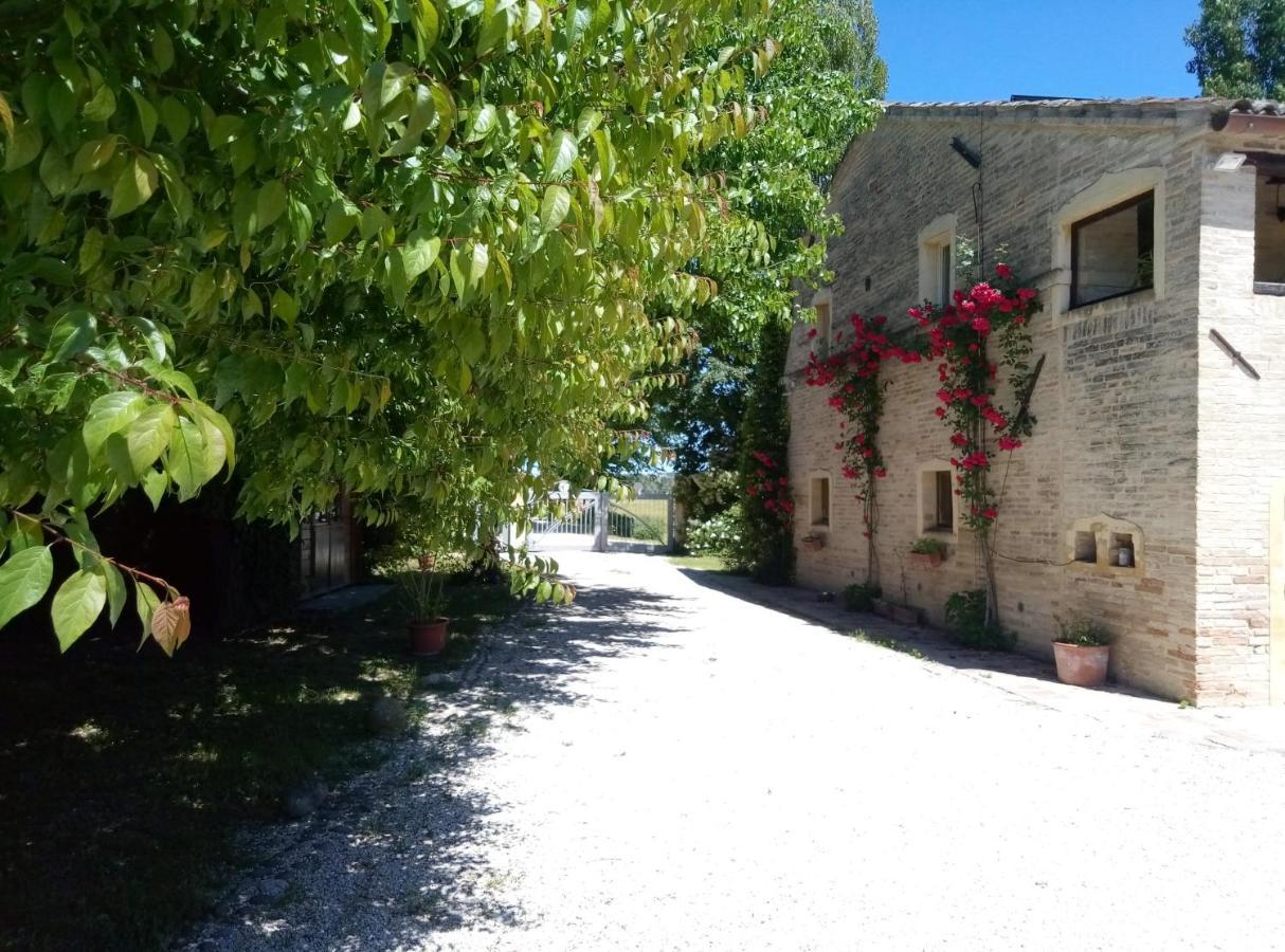 La Casa Di Tara B&B Armonia E Natura Recanati Exteriör bild
